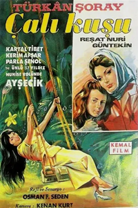 Королек - птичка певчая (1966) (20793)