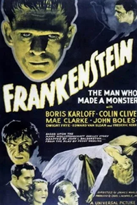 Франкенштейн (1931) (2229)