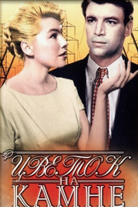 Цветок на камне (1962) (3837)