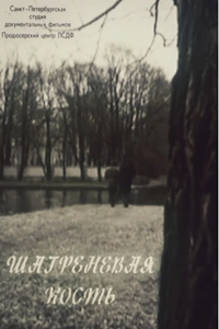 Шагреневая Кость (1992)