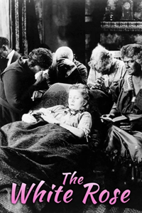 Белая роза (1923) (2556)