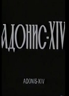 Адонис XIV (1977)