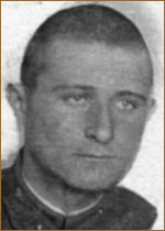 Володарский Матвей Израилевич